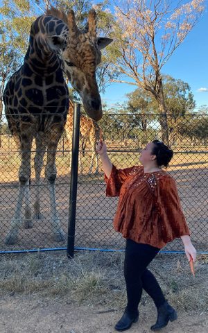 Woman feeds a carrot to a giraffe at a zoo