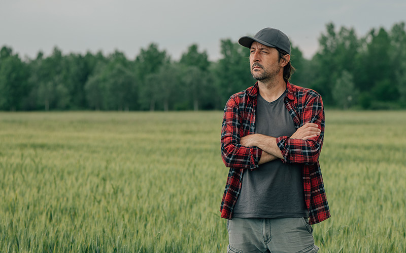 Nathan Field Web 800x500px